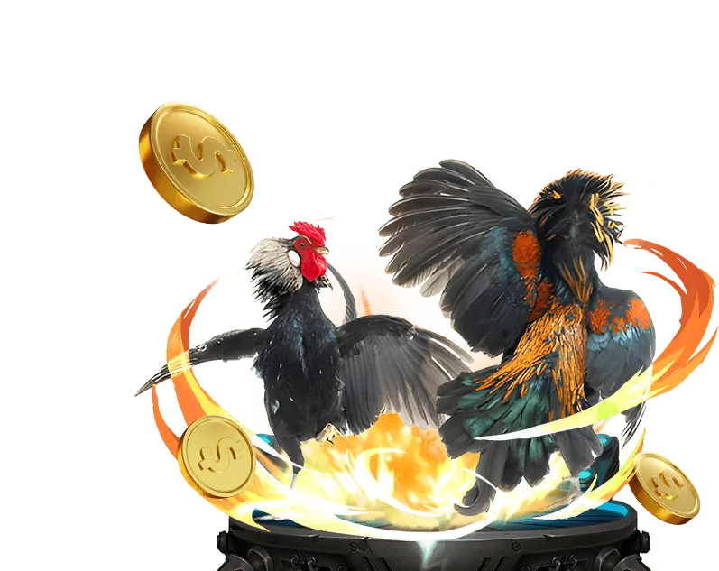 Cá cược Thể Thao HK79